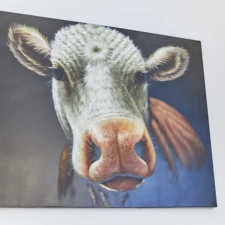 公寓 Diamond 萨尔巴赫